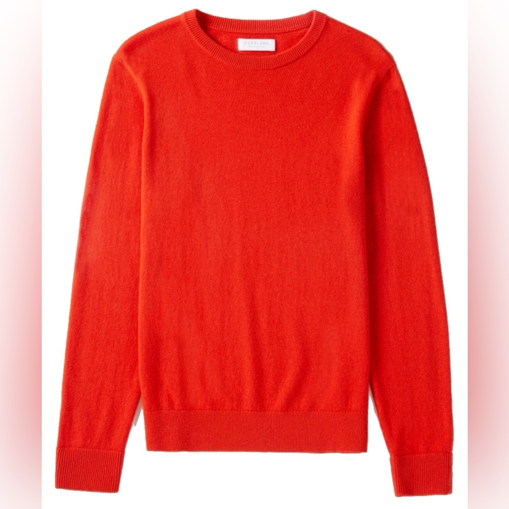 Everlane The Classic Crew in Cashmere
